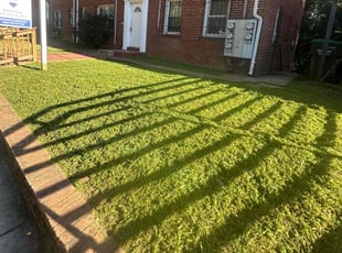 Toby A.'s lawn care services service result