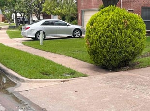Eleanor W.'s turf maintenance service result