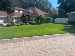 Kiran C.'s lawn care service result