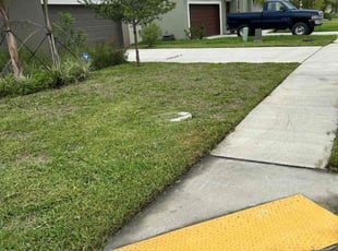 Iris E.'s grass cutting service result