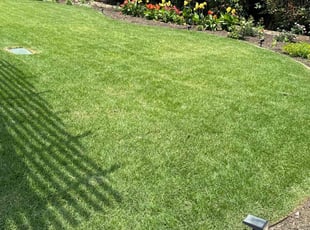 Patrick S.'s lawn care service result