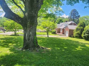 Francie T.'s lawn care service result