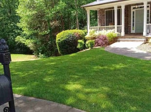 Teri I.'s lawn service service result