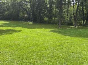 Helen P.'s grass maintenance service result