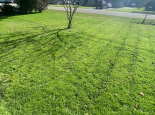 Robert O.'s lawn service service result