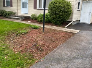 Sarah F.'s Flower Bed Weeding service result