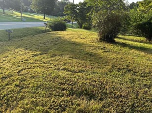 Sheri S.'s turf maintenance service result