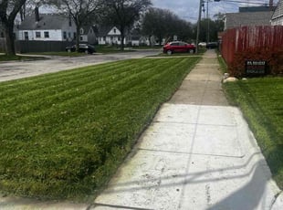 Michael J.'s lawn service service result