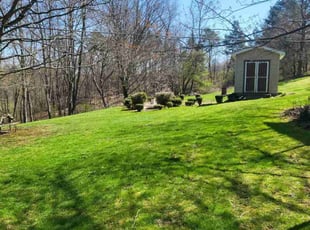 Michael W.'s grass maintenance service result