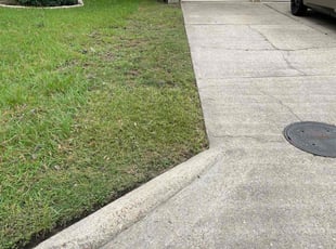 Amy H.'s grass maintenance service result