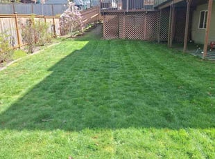 Takashi M.'s turf maintenance service result
