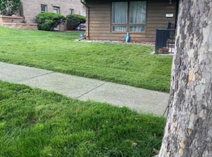 Jeff B.'s turf care service result