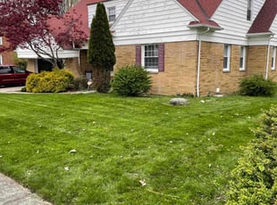 Doug B.'s lawn maintenance service result