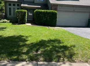 Eric E.'s lawn service service result