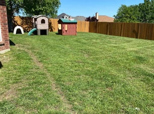 Dawn V.'s lawn care service result