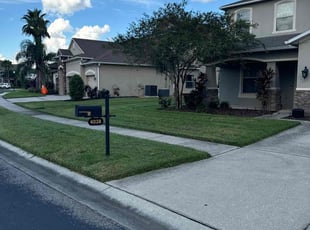 Louie C.'s lawn service service result