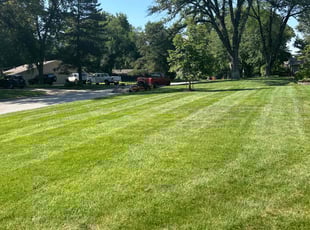 David T.'s lawn care services service result