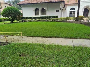 Cynthia S.'s lawn service service result