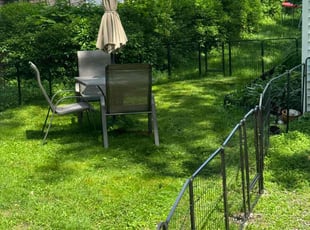 Jack M.'s grass cutting service result