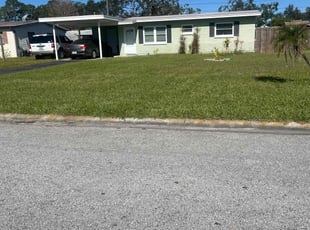 Beth D.'s turf care service result