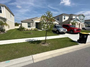 Steven C.'s grass cutting service result