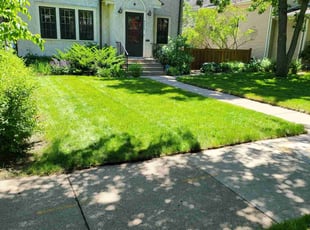 Xavreia D.'s grass maintenance service result