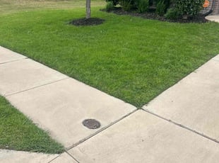Juliana W.'s yard work service result
