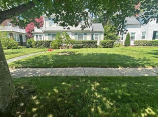 Olivia D.'s grass cutting service result