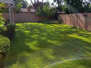 Fred H.'s lawn service service result