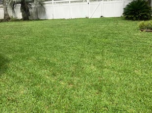 Tina T.'s lawn maintenance service result