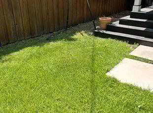 Brittany C.'s yard service service result