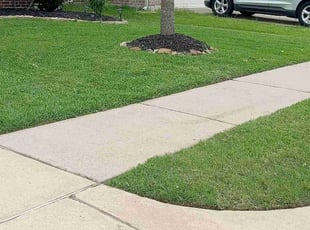 Dominic M.'s lawn care services service result