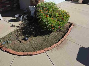 Carrie H.'s grass maintenance service result