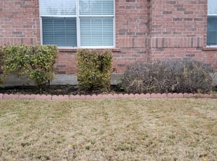 Doug L.'s Bush Trimming service result