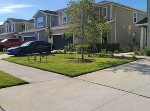 David W.'s lawn care services service result