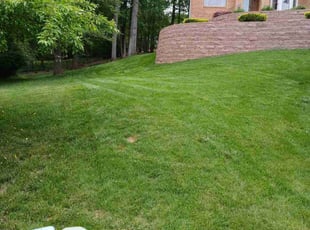 Barrett B.'s grass cutting service result