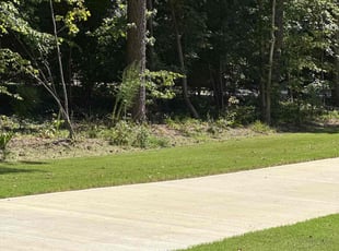 Holly J.'s turf maintenance service result