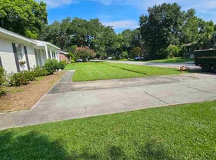 Troy A.'s lawn maintenance service result