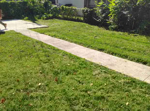Daniella G.'s lawn service service result