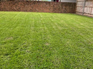 Krista W.'s lawn care services service result