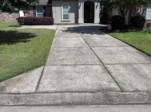 Denise C.'s grass cutting service result