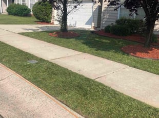 Fred G.'s lawn care services service result