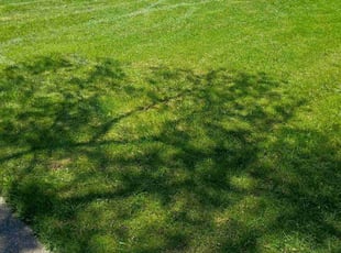 John G.'s lawn care services service result