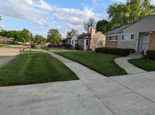 Jessica J.'s grass cutting service result