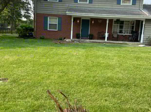 Angelo B.'s lawn care services service result
