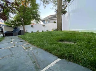 Liv M.'s turf maintenance service result