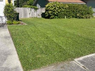 Joshua G.'s lawn care service result