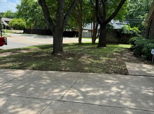 Kimberly W.'s turf care service result