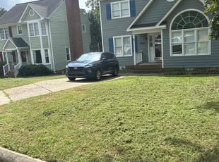 Lewis D.'s lawn maintenance service result