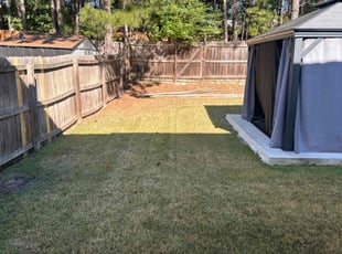 Lindsay R.'s turf care service result